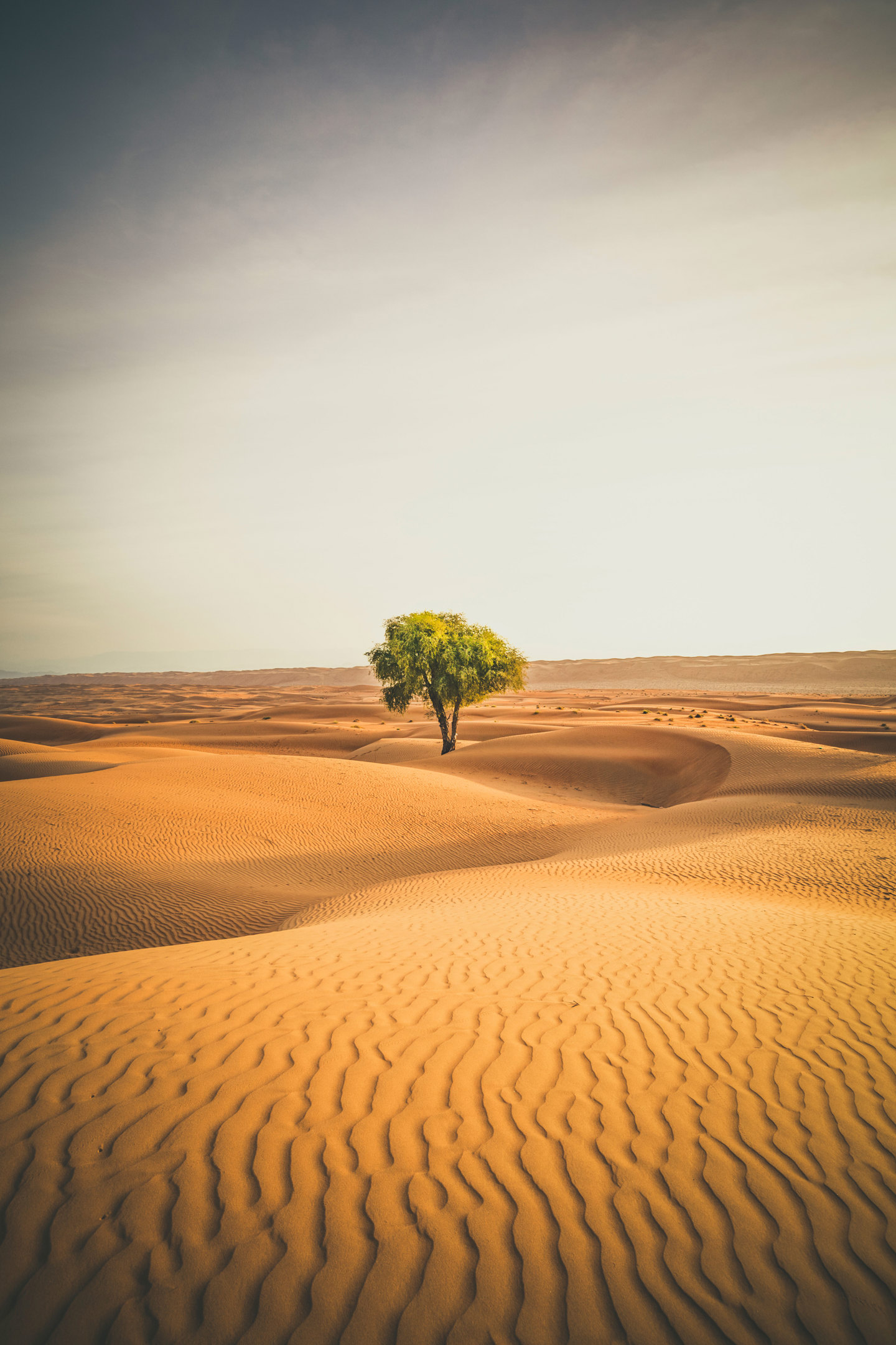 The Best Travel Destinations in 2022 Departures Magazine