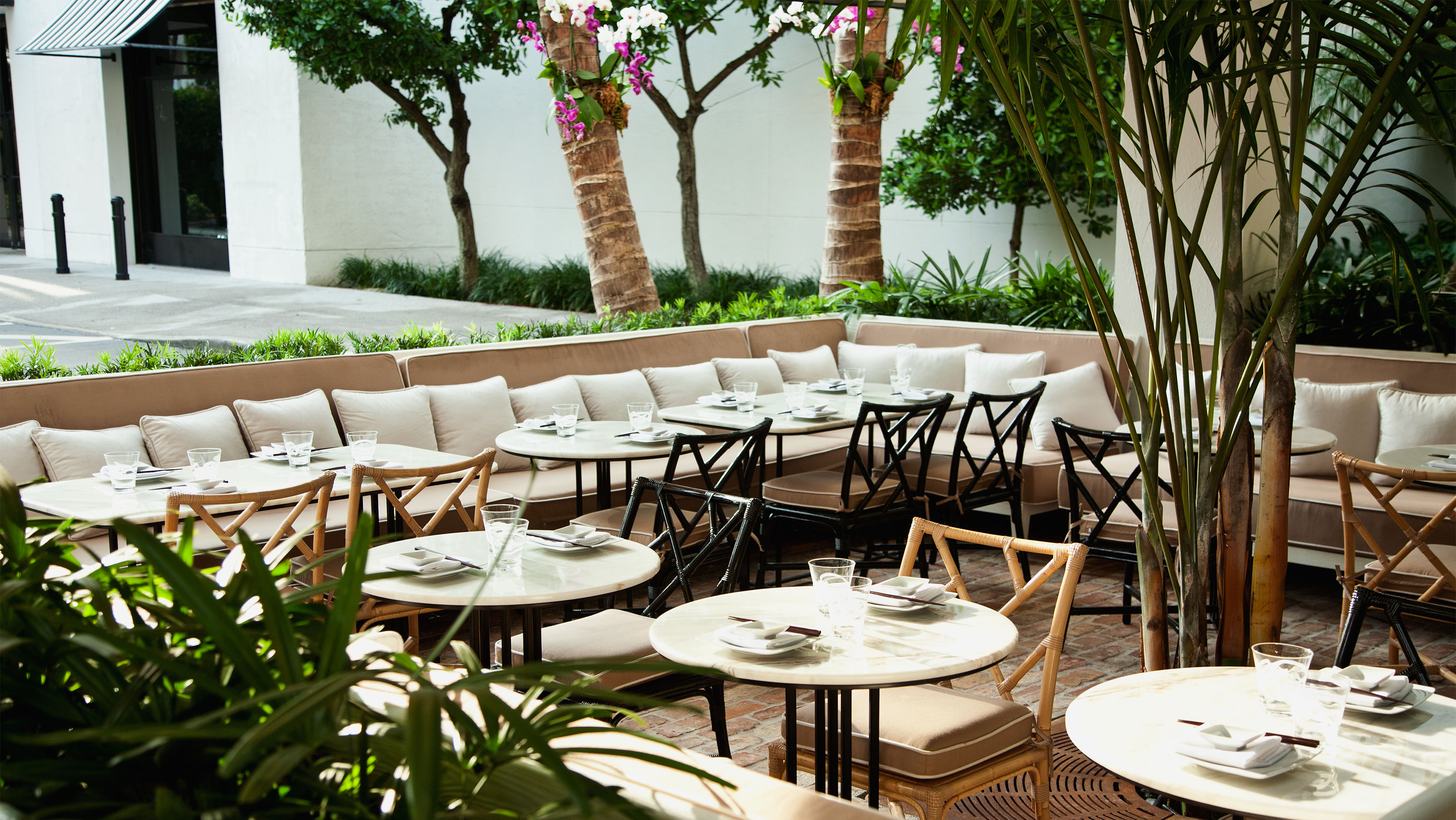 Zuma: Where East Meets Biscayne  Luxury restaurant, Restaurant