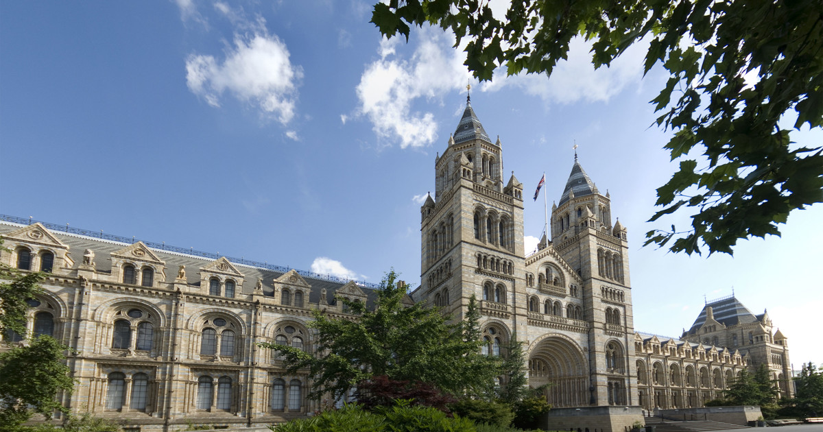 Library 24 Hours London Library 24 Hours London